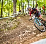 coloma-mmr-2016-1