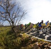 mallorca-2016
