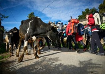 El Camino de Santiago de la Fundación Contador: Una mochila, 4 etapas, 136 km (Fotos)