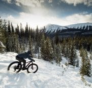 Bontrager-Old-Man-Winter-2