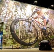 karacol bikes baja