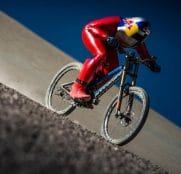 Markus-Stoeckl-red-bull-2017-1