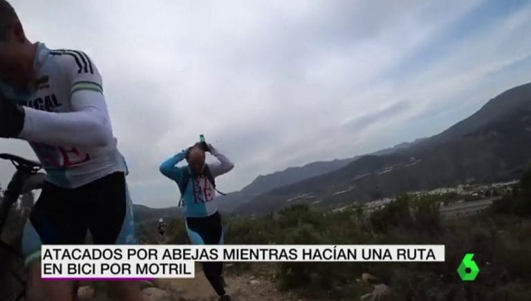 Vídeo: Unas abejas atacan a un grupo de ciclistas