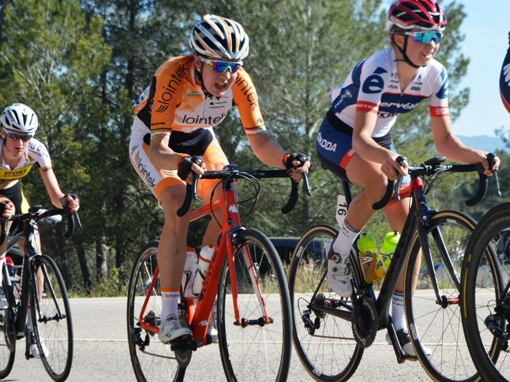 lointek-Euskaldun