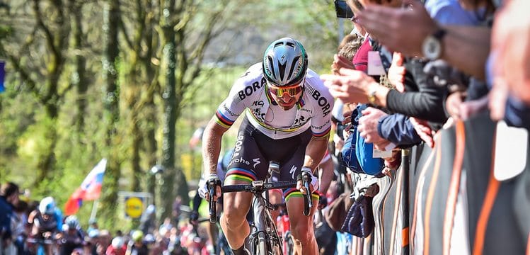 sagan-gante-wevelgem-2017