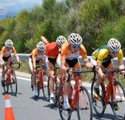 lointek-team-bira-2017