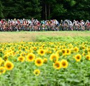 tour-francia-2017-10ª-etapa