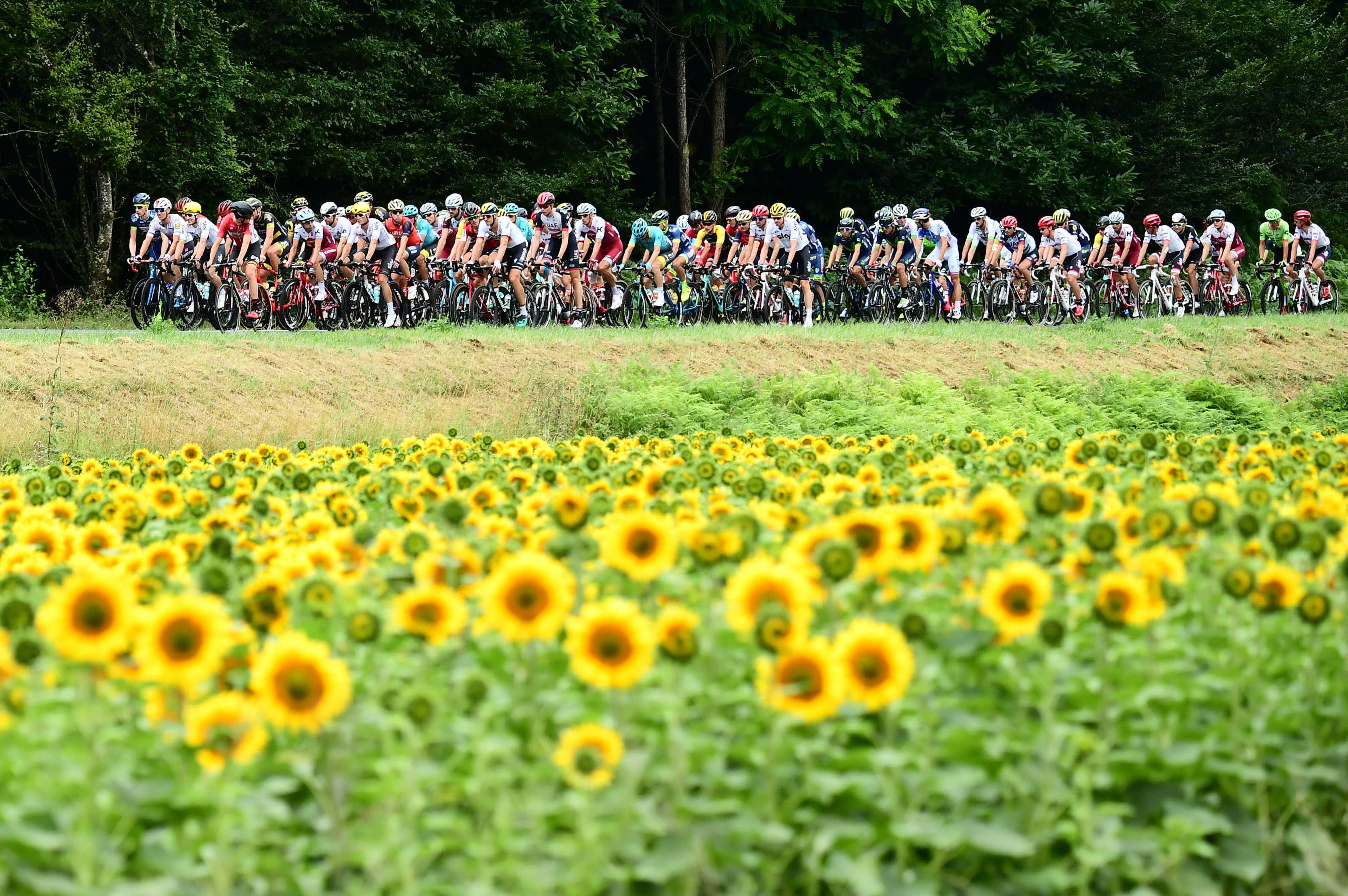 tourfrancia201710ªetapa Zikloland