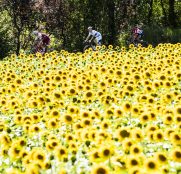 tour-francia-2017-14ª-etapa