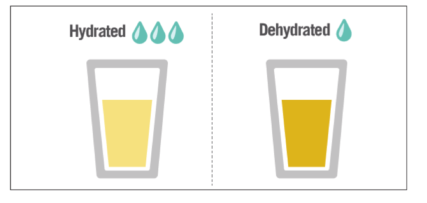 hidratacion-correcta-2