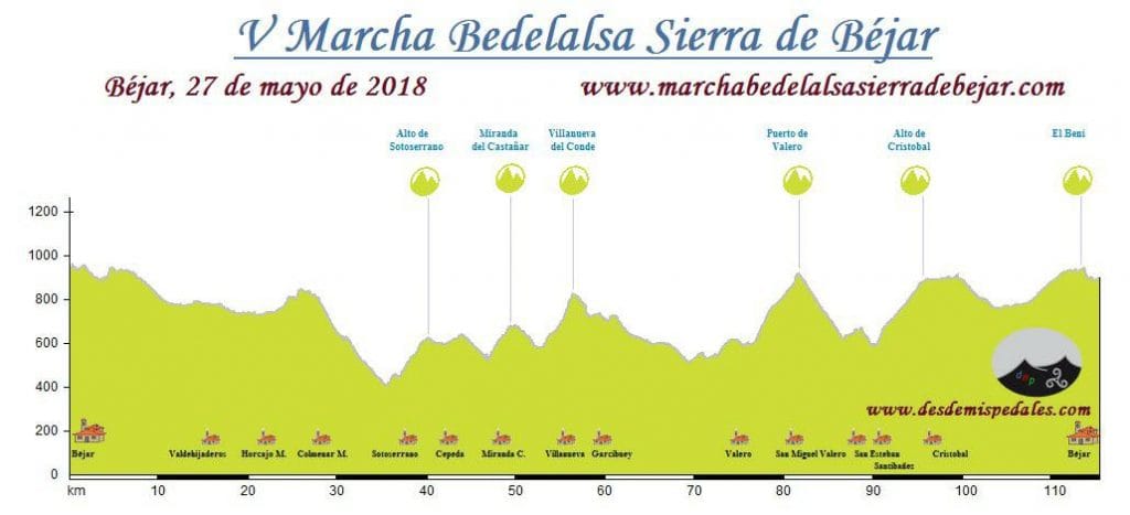 bedelalsal_fondo_perfil