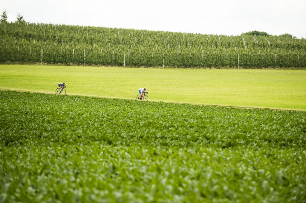 visit-flanders-campo-2018