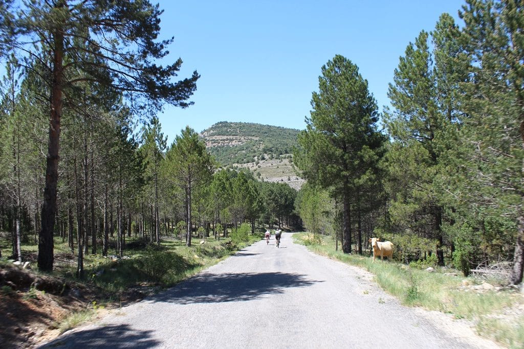 desafio-titanico-2017-