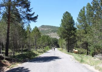 desafio-titanico-2017-