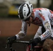 david-van-der-poel