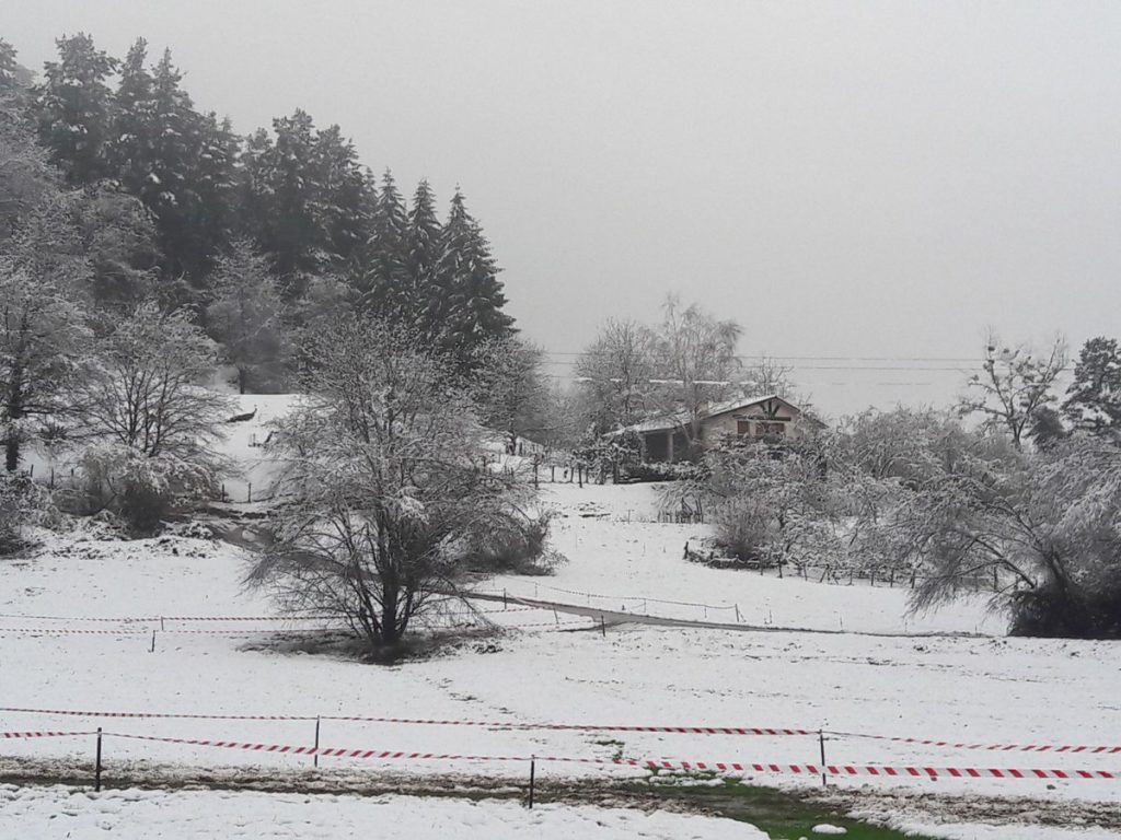 ormaiztegi-cx-2018