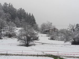 ormaiztegi-cx-2018