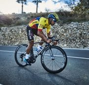 quick-step-narvaez-2018