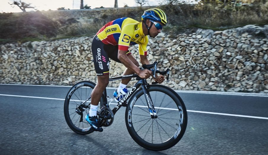 quick-step-narvaez-2018