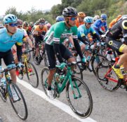 nelson-soto-caja-rural