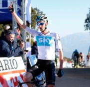 wout-poels