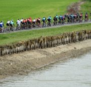 paris-niza-2019-etapa3-peloton
