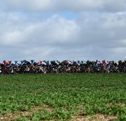 paris-niza-2019-peloton-1