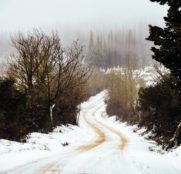 strade-bianche-2018-sector-tierra