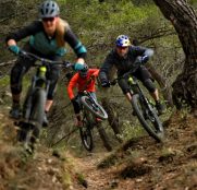 trek-powerfly-2018-5