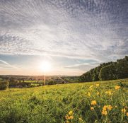 Visit-flandes-koppenberg