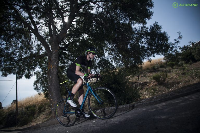 Merida_Scultura_5000_005