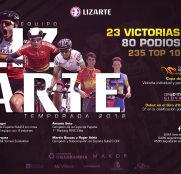 grafico-lizarte