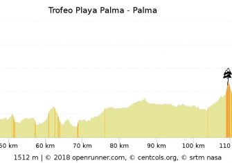 4 Perfil Trofeo Palma