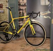 giant-van-gogh-dumoulin-14