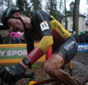 toon-aerts-namur