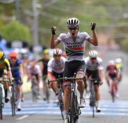 daryl-impey-mitchelton-scott-tour-down-under-2019-etapa-4