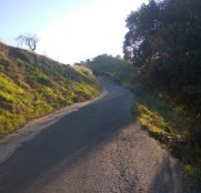 valle-vida-4