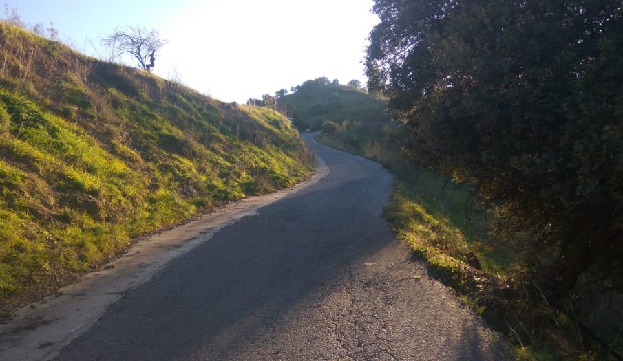 valle-vida-4