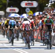viviani-ewan-cadel-evans-road-race-2019