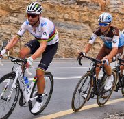 alejandro-valverde-uae-tour-2019-etapa5