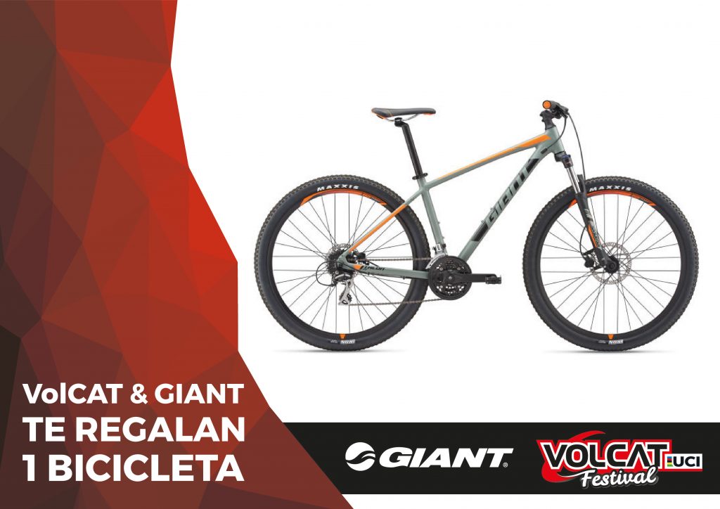 giant-volcat-19