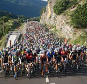 peloton-qebrantahuesos