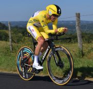 Alaphiplippe-Deceuninck-Quick-Step-CRI-Pau-Etapa13-Tour-Francia-2019