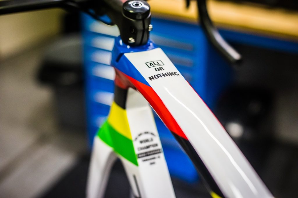 Trek-Pedersen-WC-Bike-19