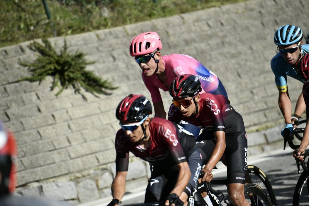 bernal-rosa-piemonte