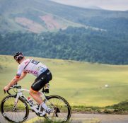 greipel-arkea