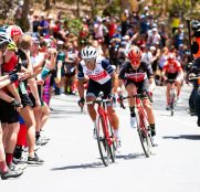 22nd Santos Tour Down Under 2020 - Stage 6