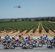 tour-down-under-2020-peloton