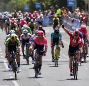 alberto-dainese-team-sunweb-herald-sun-tour-2020-etapa1