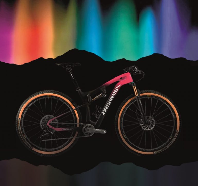 berria-iris-gradient-4